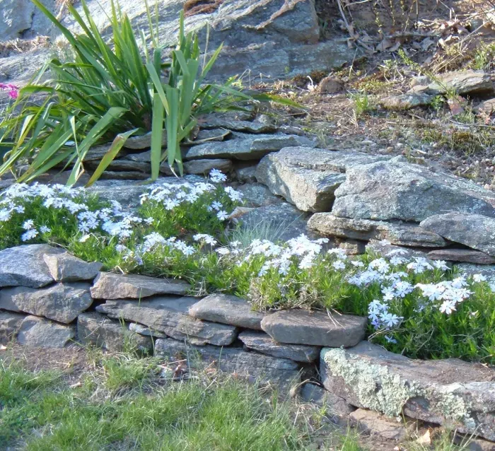 Enhancing Your Outdoor Space with Boulders: A Guide to Landscaping Brilliance