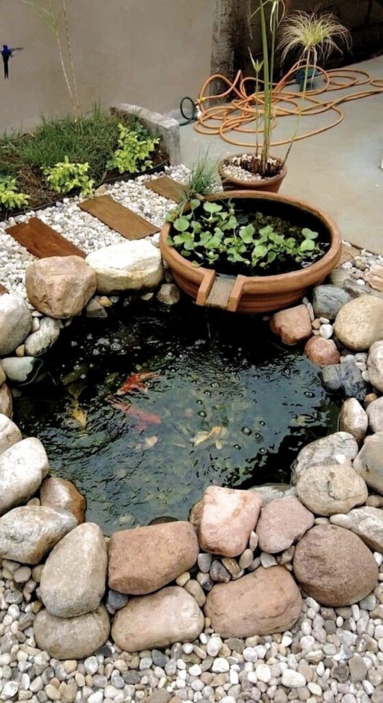 backyard ponds