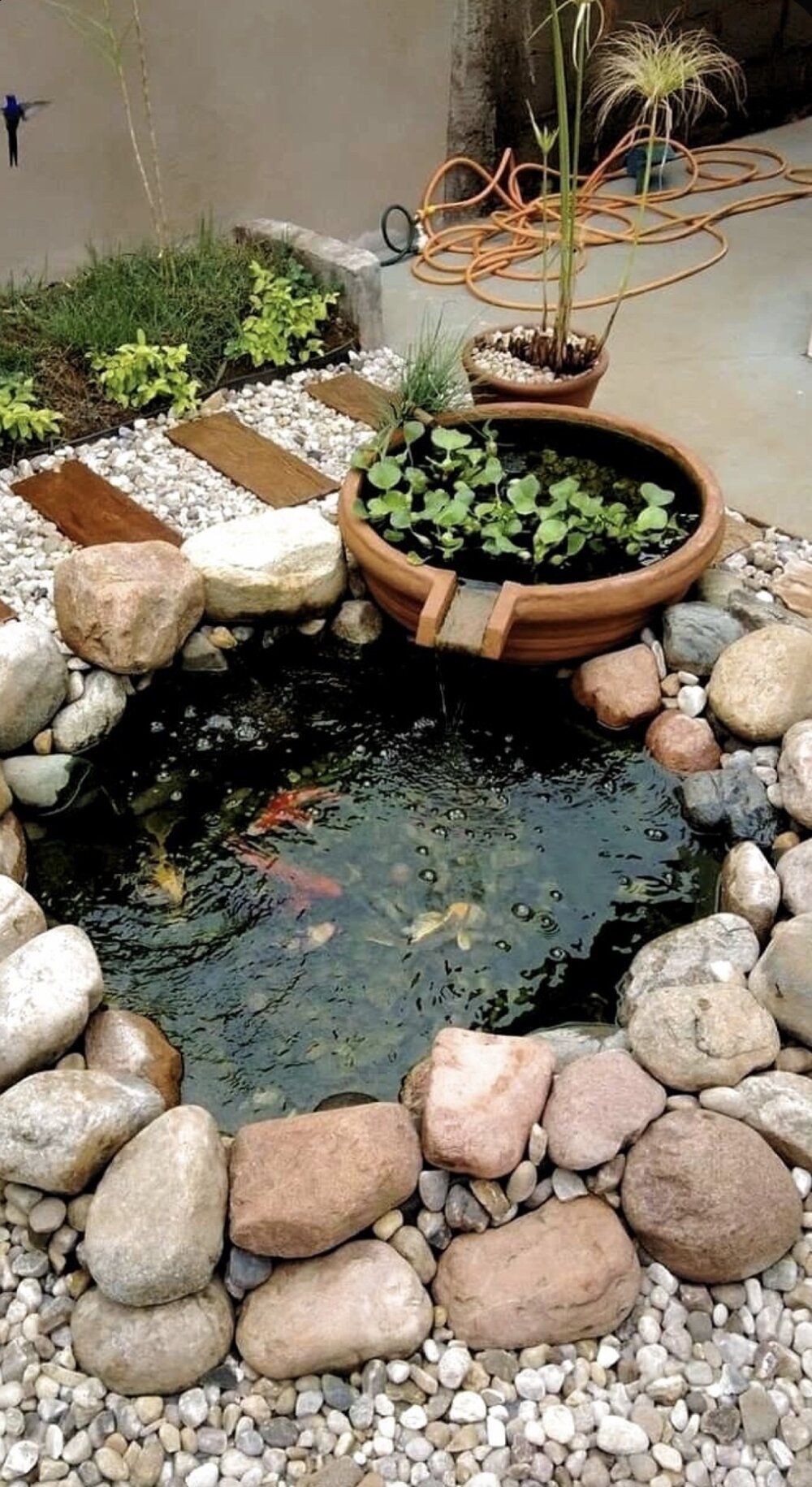 Enhancing Your Outdoor Space with a Charming Backyard Pond