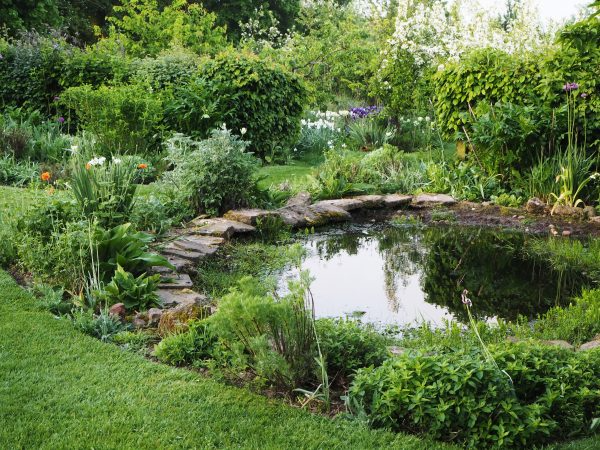 garden ponds