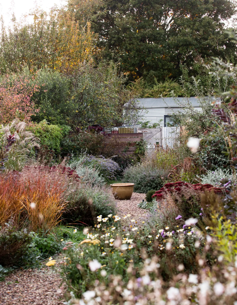 perennial garden ideas