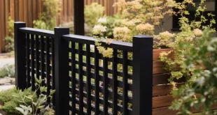 privacy fence ideas