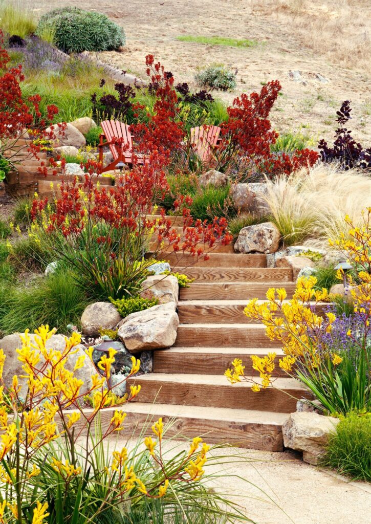 landscape garden design