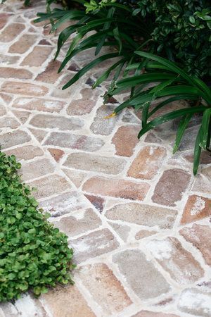 Exploring the Beauty of Outdoor Pavers
