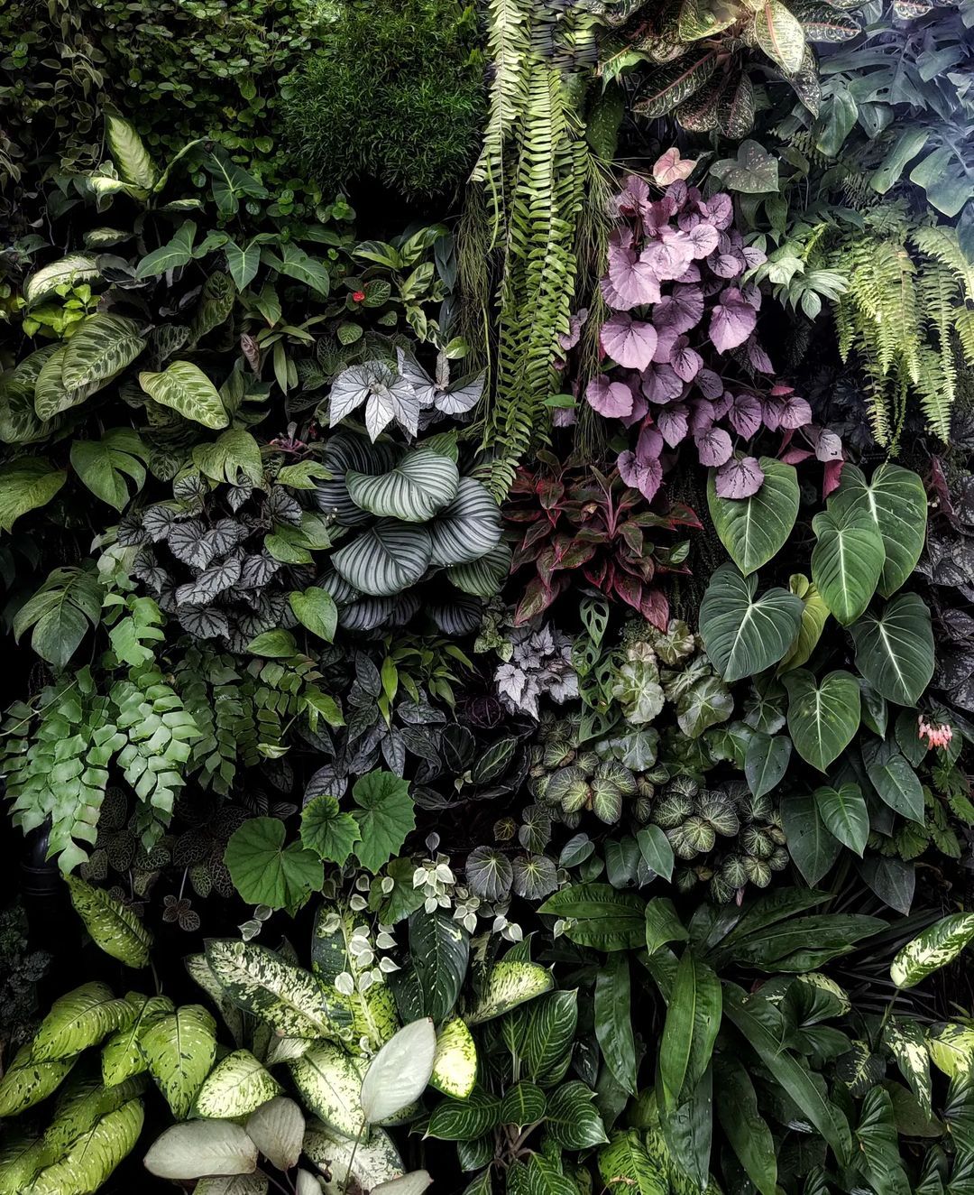 Exploring the Beauty of Vertically-Grown Gardens