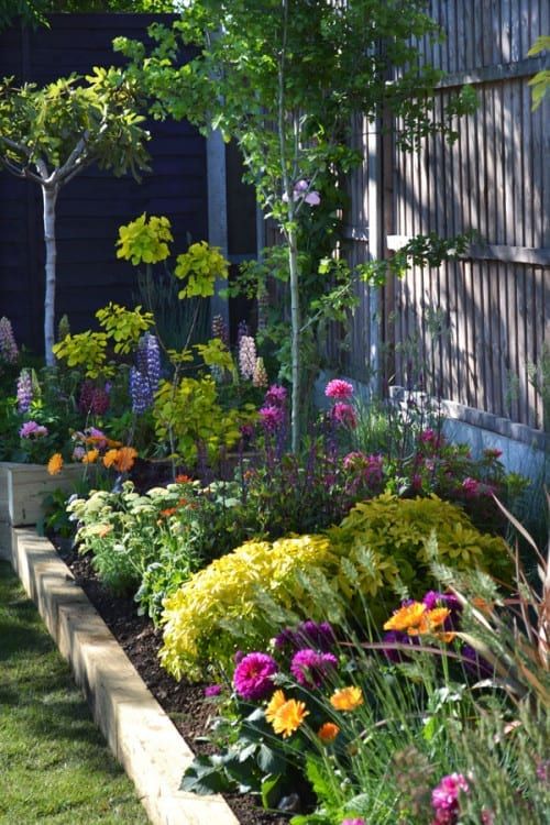 Exploring the Benefits of Elevated Flower Beds