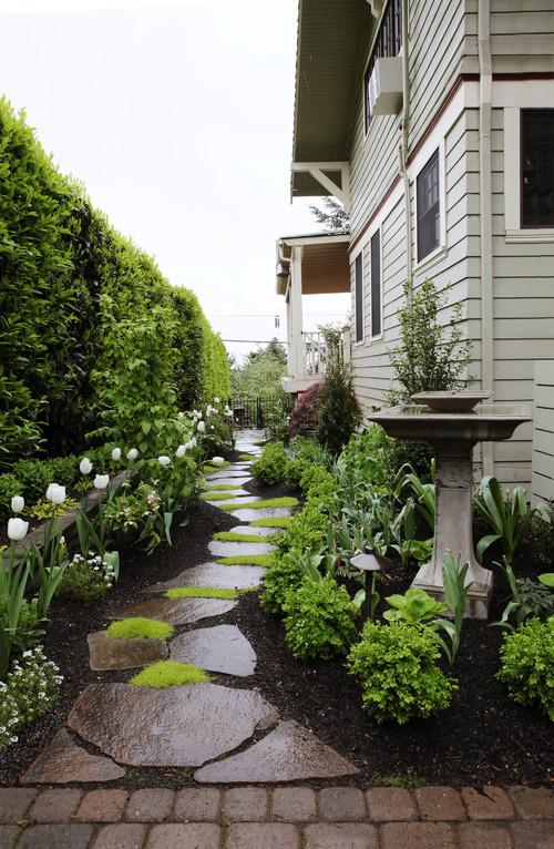 Exploring the Often Overlooked Space: The Charm of Side Yards