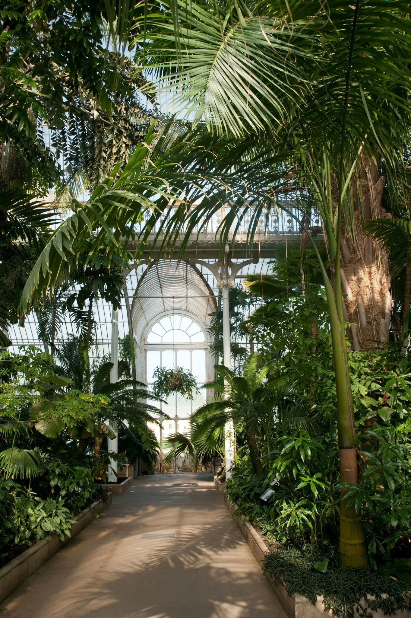 Exploring the Serene Beauty of Botanical Gardens