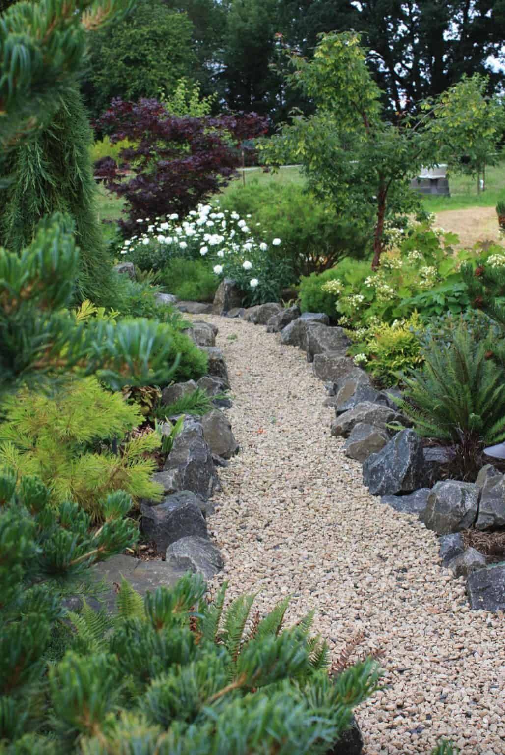 Exploring the Timeless Beauty of Rock Gardens