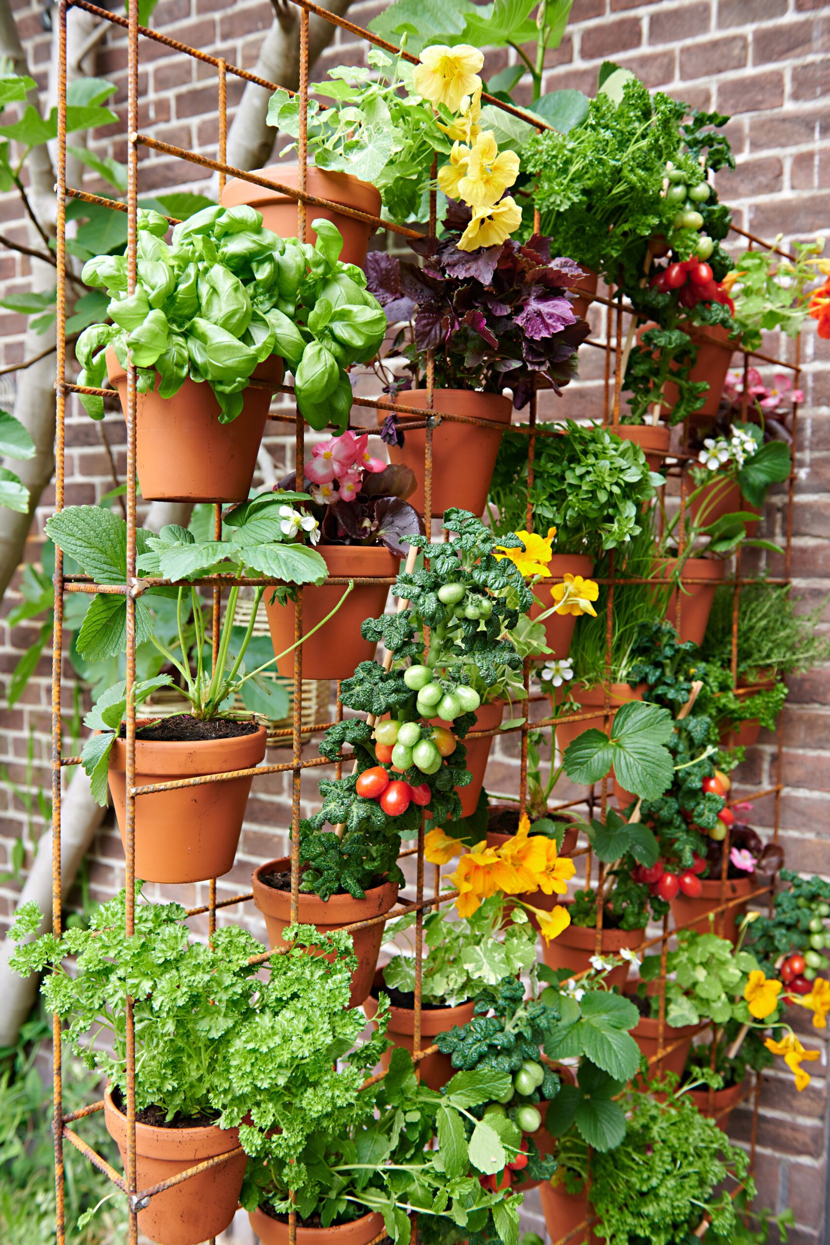 Exploring the World of Compact Vegetable Gardens