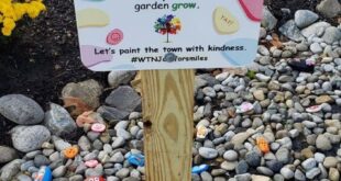 garden ideas for toddlers
