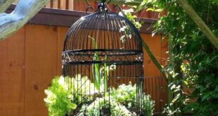 quirky garden ideas