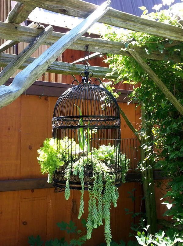 quirky garden ideas