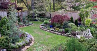 garden landscaping ideas