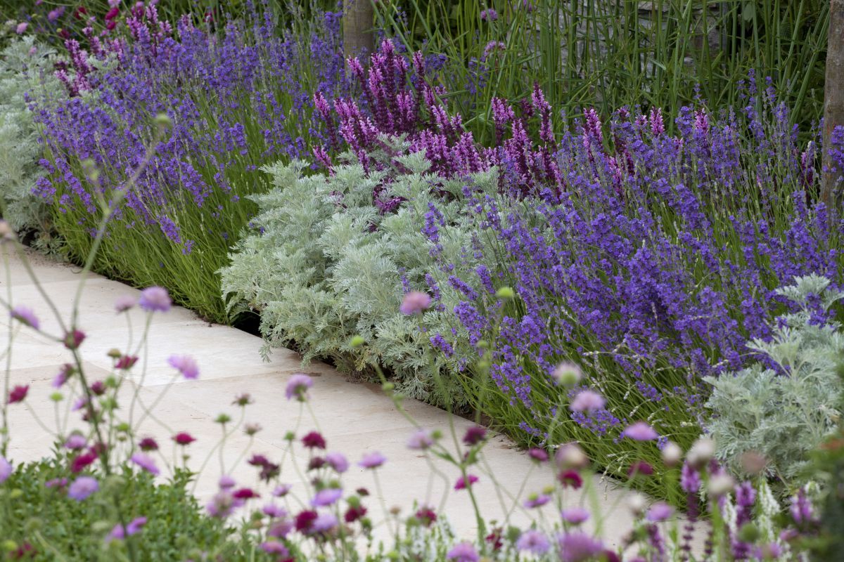 Gorgeous Garden Border Ideas for a Stunning Outdoor Space