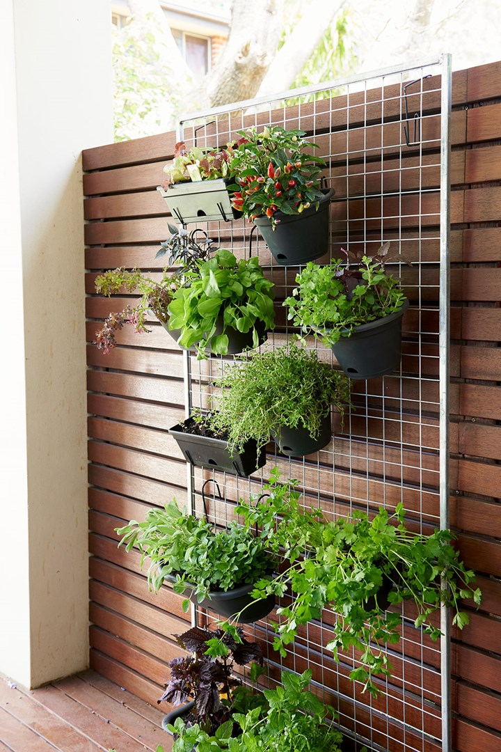 Growing Green: The Magnificence of Vertical Gardens