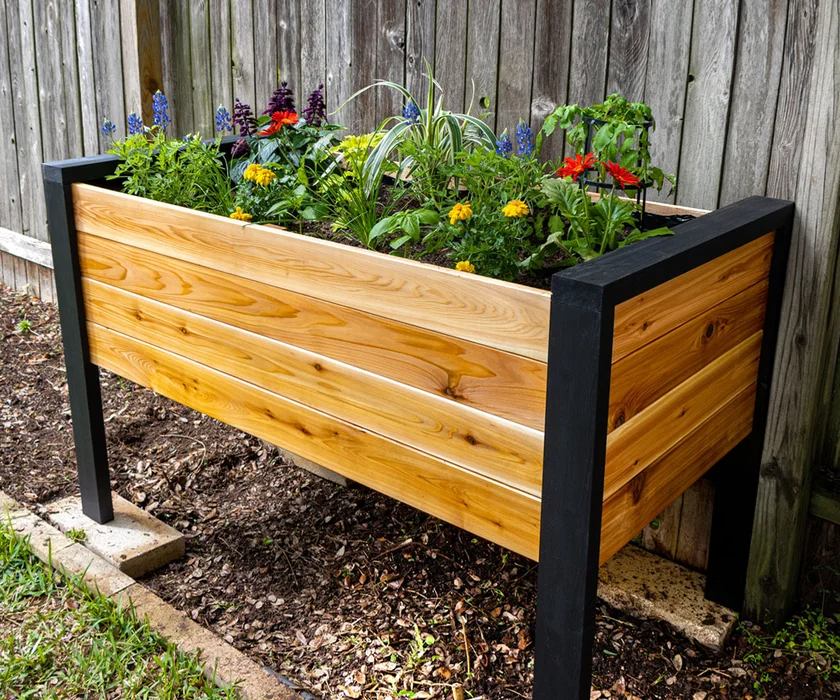 Growing Plants In Elevated Garden Containers: The Benefits Of Using Raised Planters