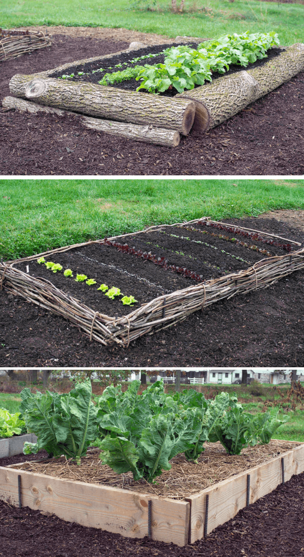 Growing Plants in Elevated Beds: The Benefits of Raised Gardens