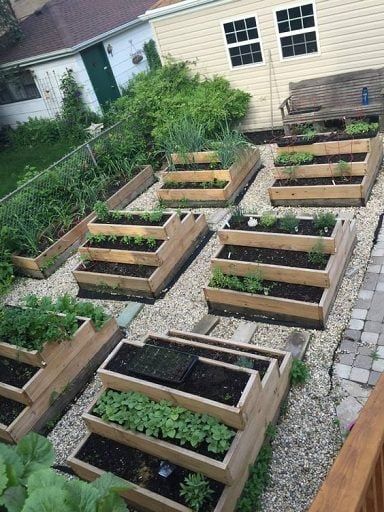 Growing Plants in Elevated Garden Containers: A Benefit for Small Spaces