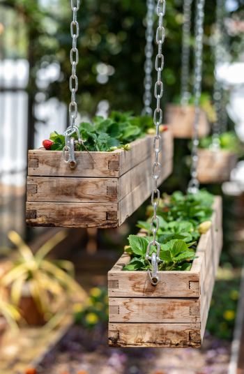 Growing a Beautiful Garden with Planter Boxes in Your Outdoor Space
