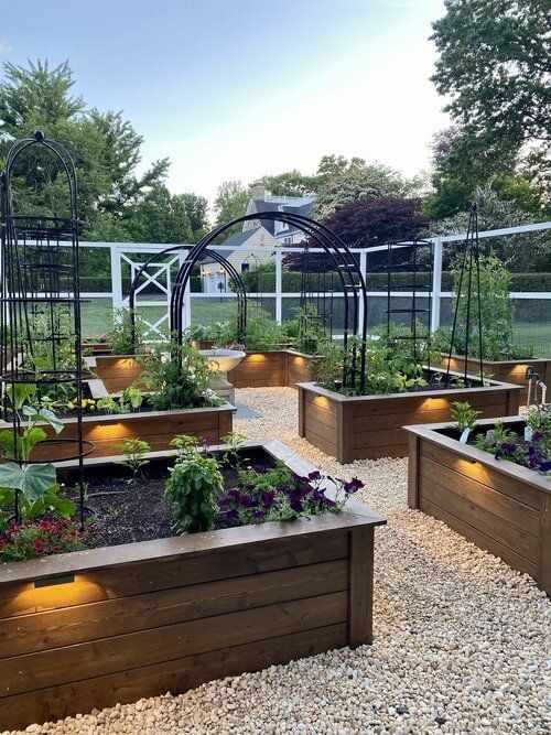 Growing a Bountiful Harvest in Your Tiny Vegetable Patch