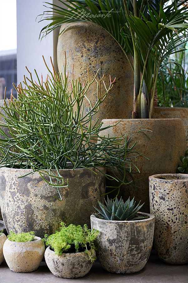 landscaping with potted plants