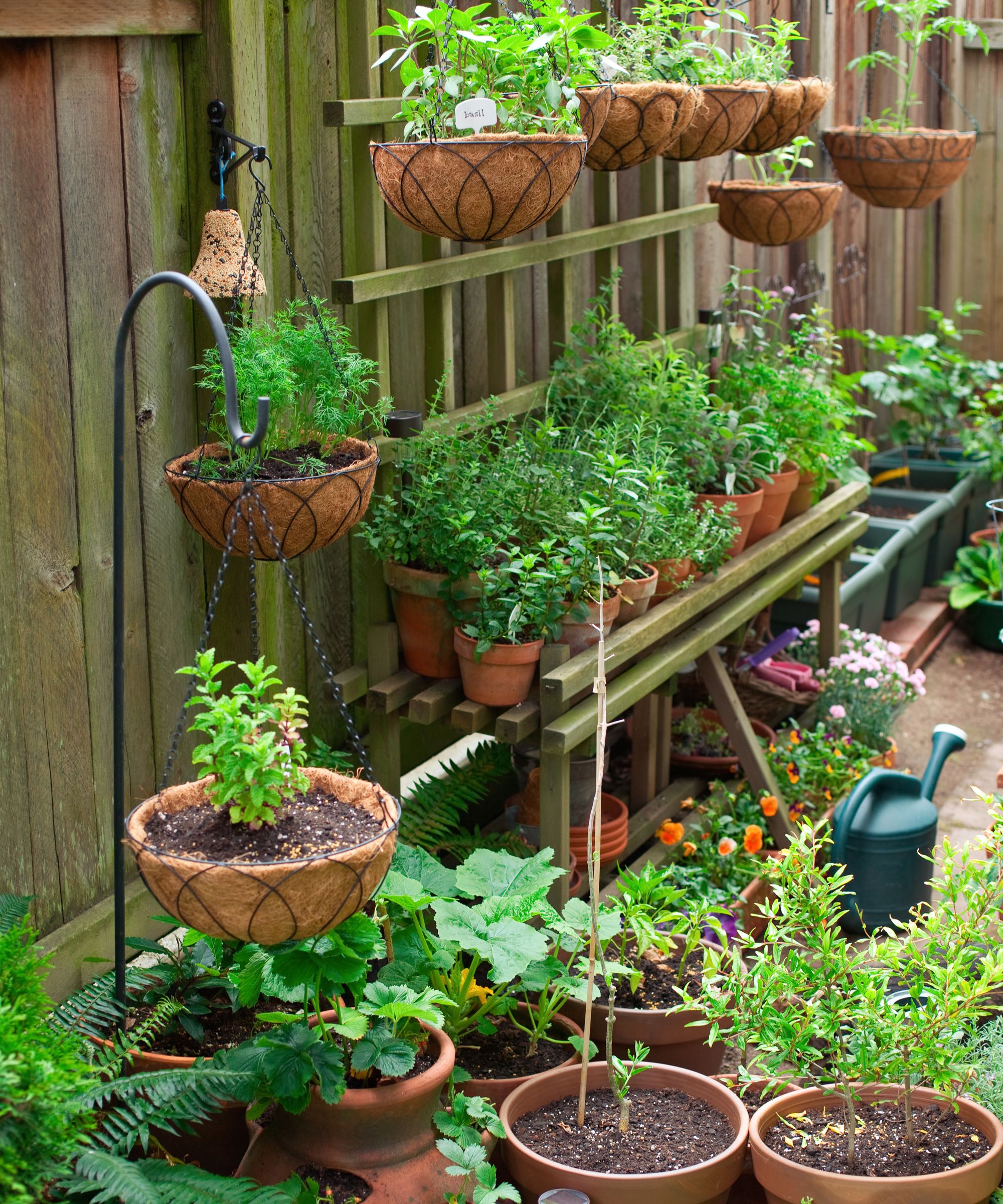 Growing a Variety of Vegetables in a Cozy Garden Space