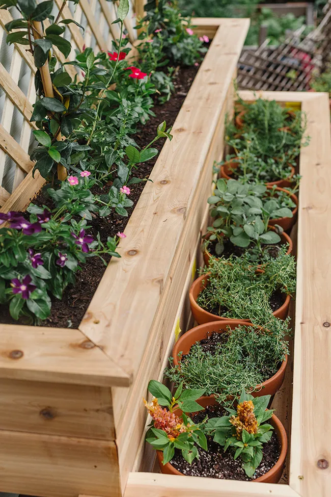 How to Create Your Own Herb Garden Planter from Scratch