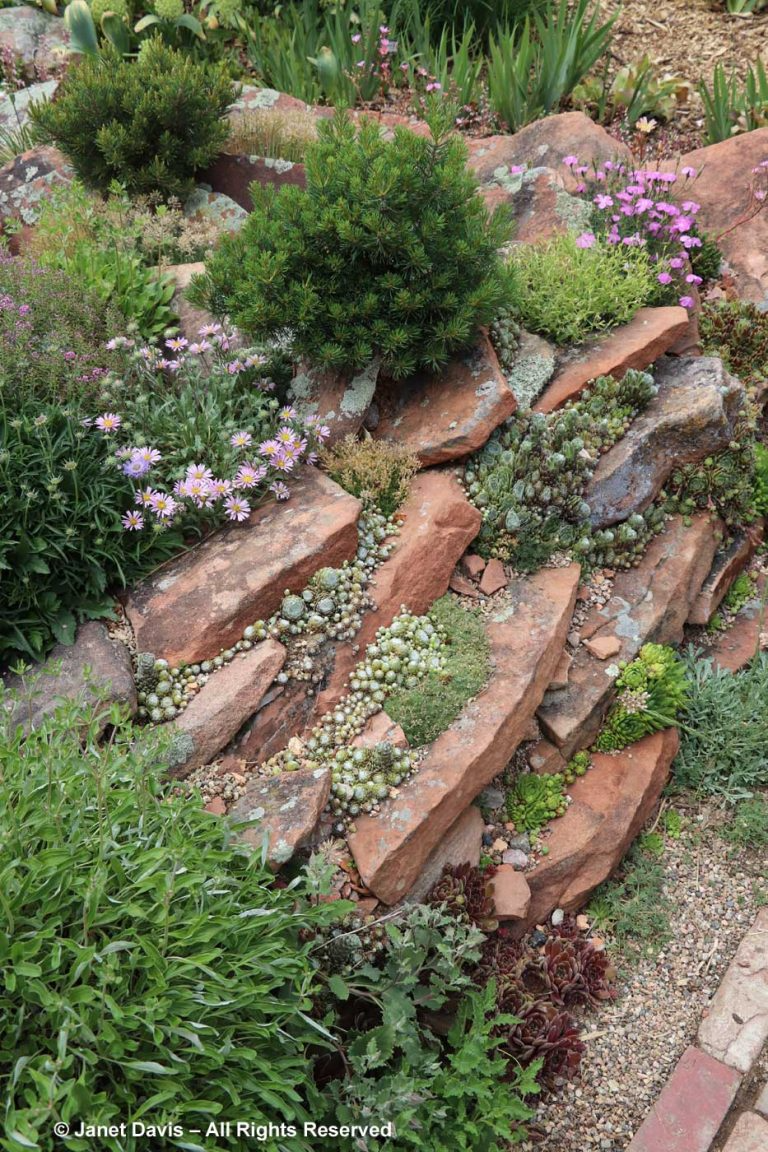 How to Create a Charming Rock Garden in a Small Space