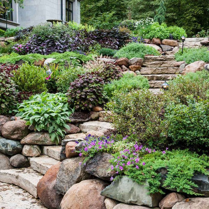 How to Transform Your Steep Front Yard with Beautiful Landscaping