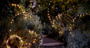 garden lights
