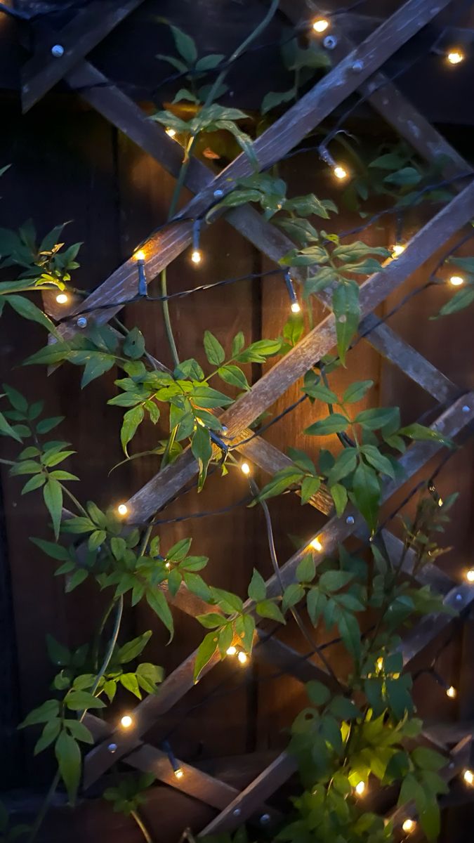 Illuminate Your Gardens with Beautiful Outdoor Lighting Options