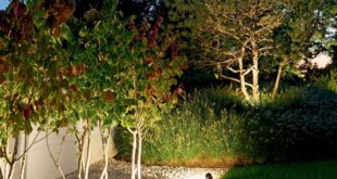 landscaping lighting ideas