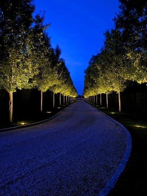 Illuminate Your Outdoor Space: Transform Your Landscape with Stunning Lighting Ideas