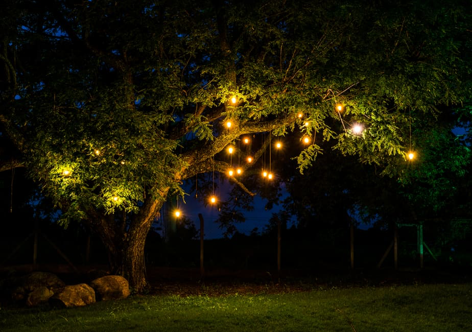 Illuminate Your Outdoor Space with These Creative Landscape Lighting Ideas