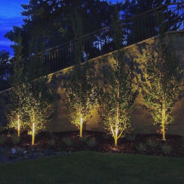 Illuminate Your Outdoor Space with These Stunning Landscape Lighting Ideas