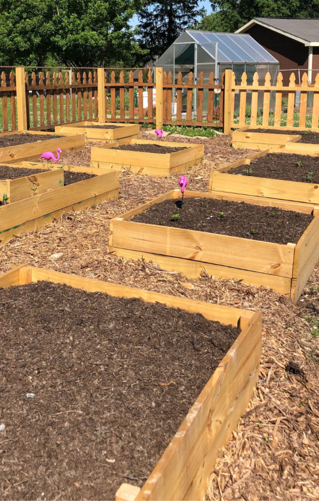 cheap raised garden beds diy