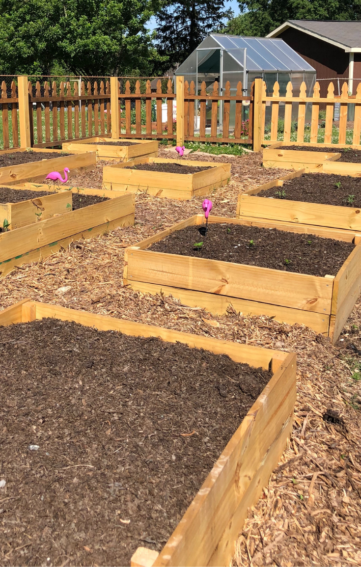 Inexpensive Ways to Create Your Own Raised Garden Beds at Home