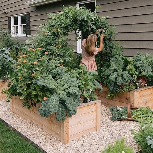 Innovative Raised Bed Garden Design Concepts for Your Outdoor Space