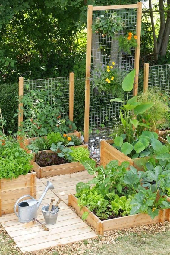 Innovative Raised Garden Beds Layout Ideas for Your Home