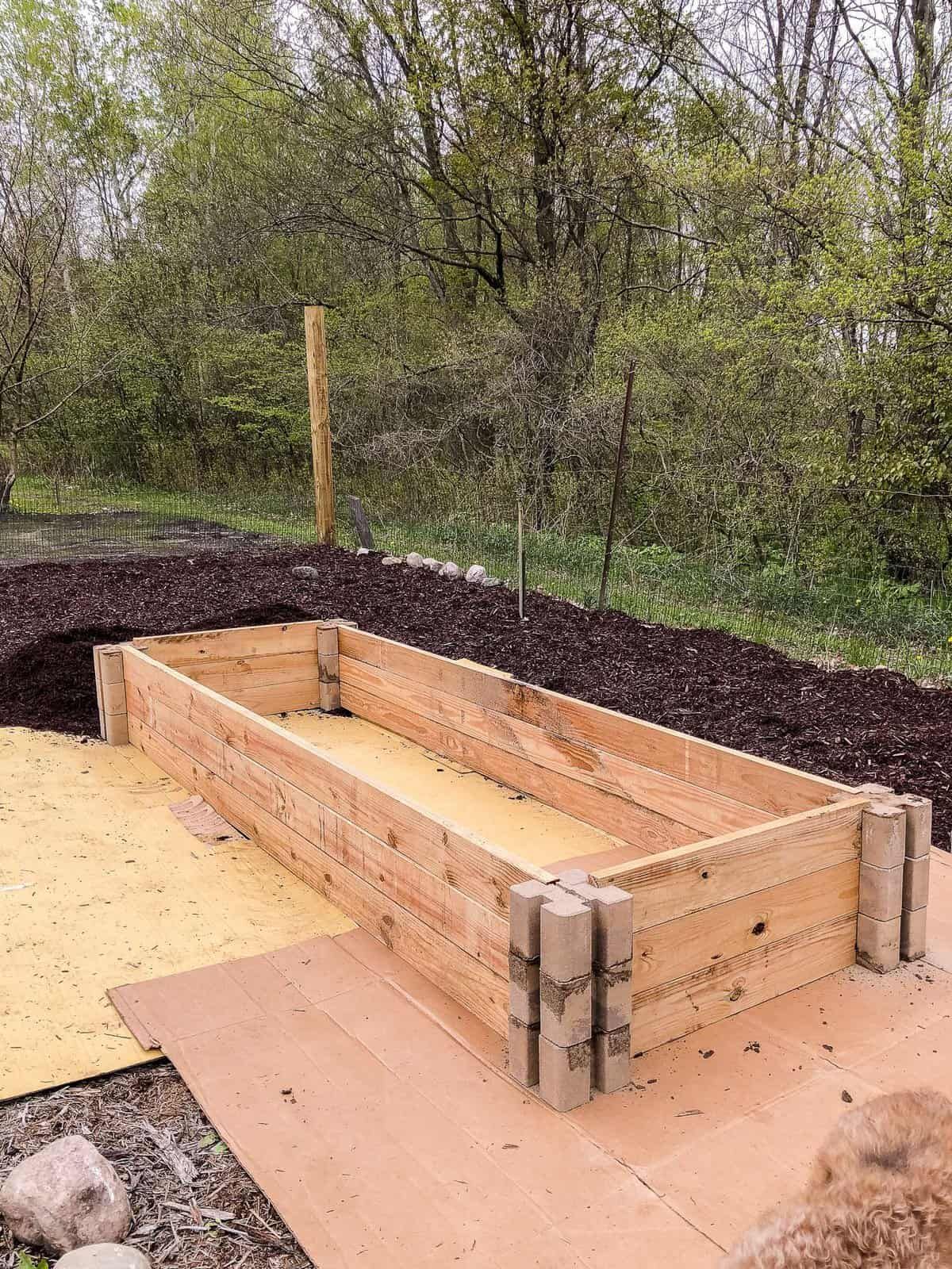 Innovative Ways to Design Raised Garden Beds