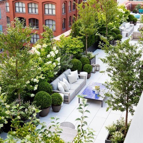 Innovative Ways to Transform Your Terrace into a Beautiful Garden