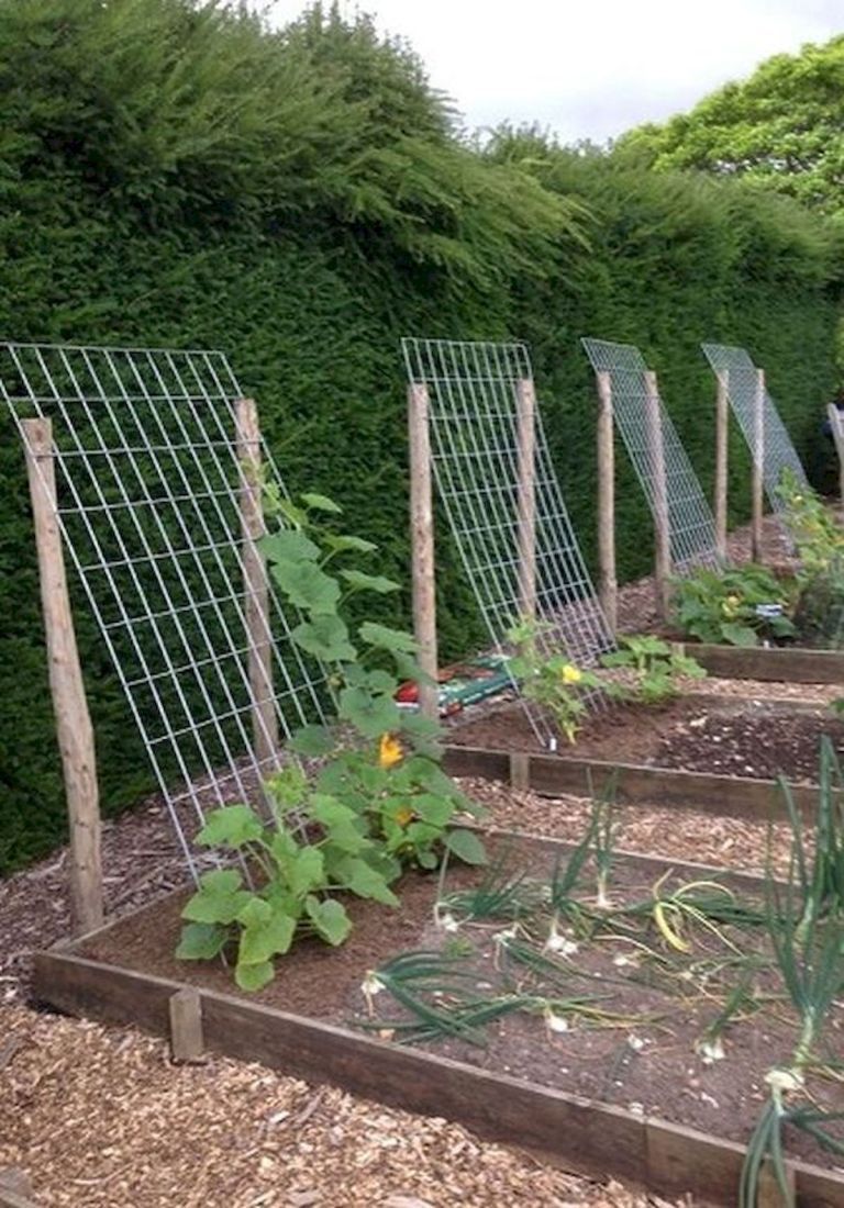 Innovative and Creative Vegetable Garden Ideas