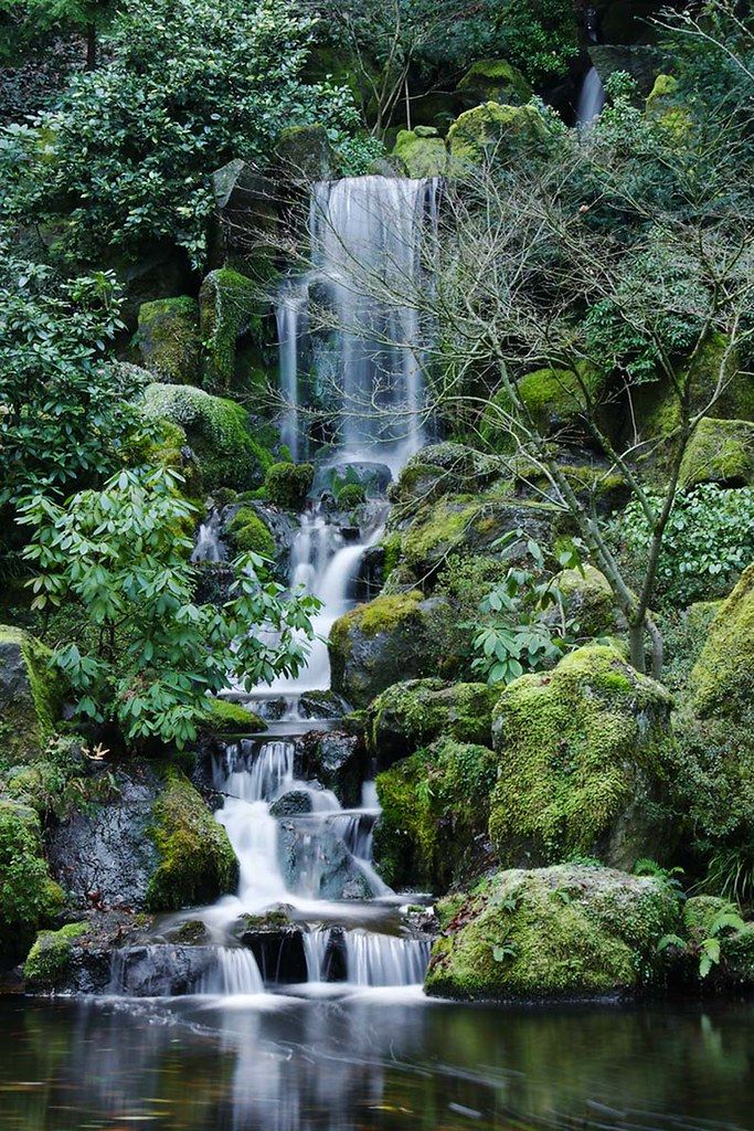 Magical Cascades: The Beauty of Garden Waterfalls