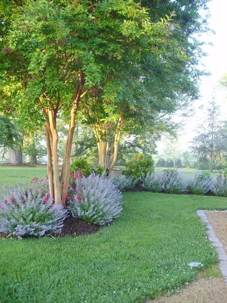 Maximizing the Beauty of Your Outdoor Space with Tree Landscaping