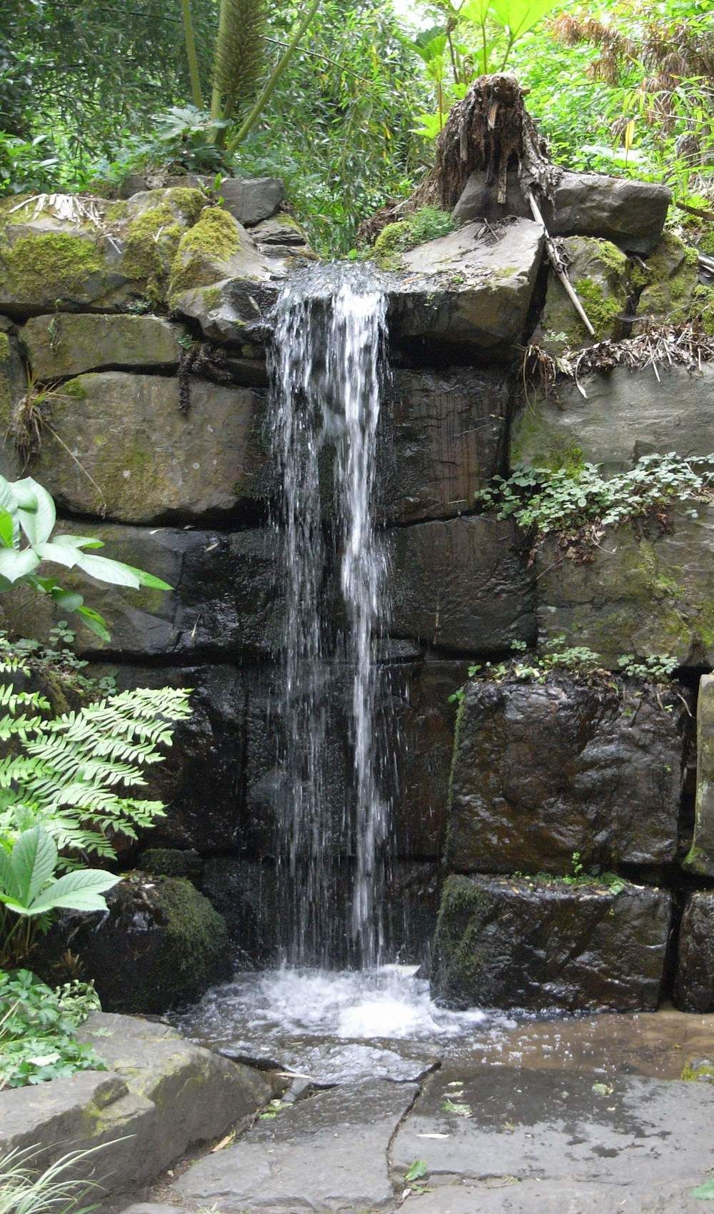 Mesmerizing Cascades: Beauty of Garden Waterfalls