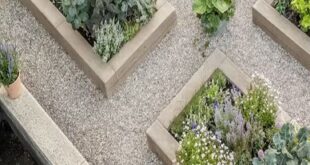 raised garden beds