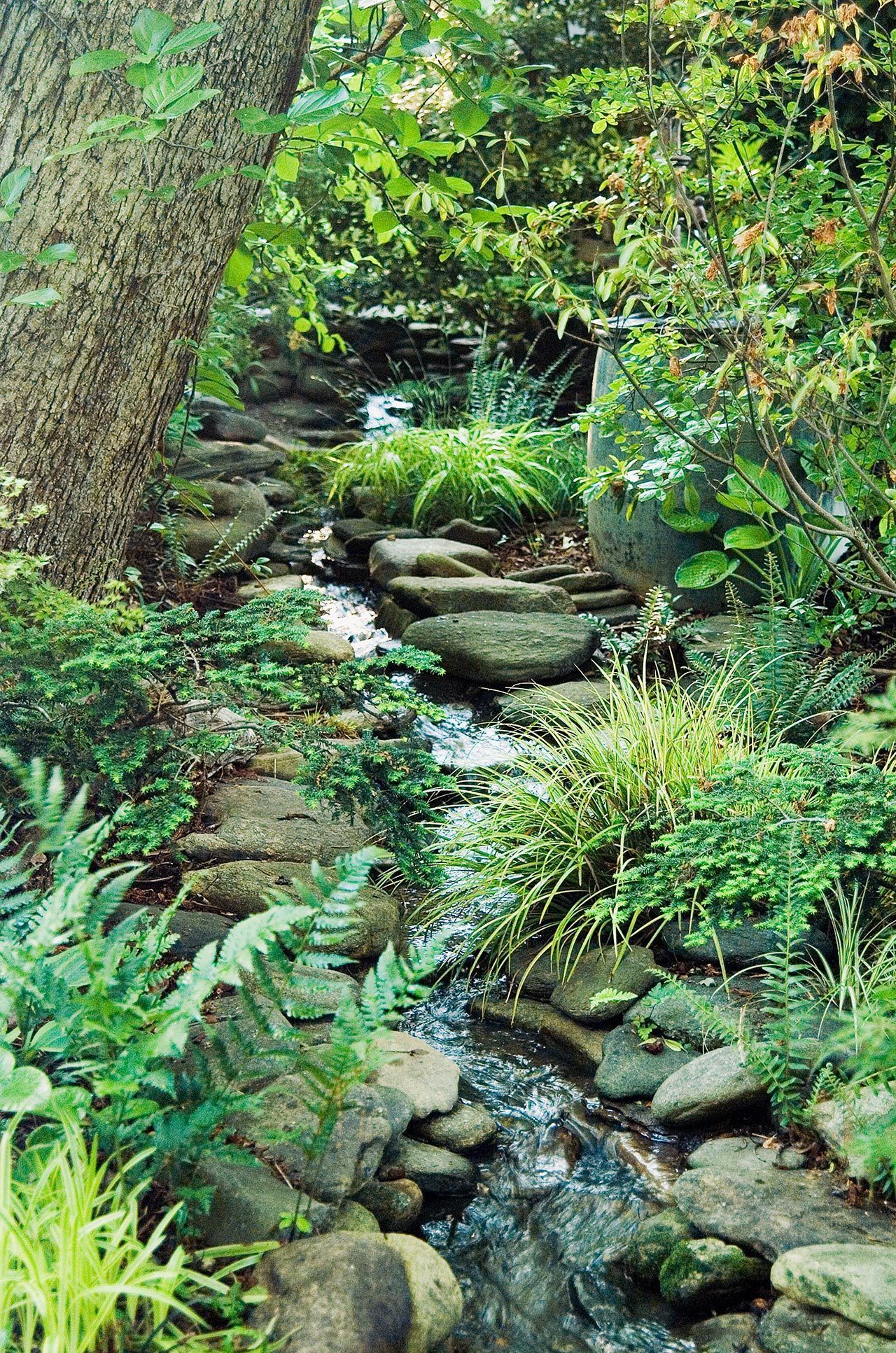 Optimal Ways to Create a Shade Garden for Lush Greenery