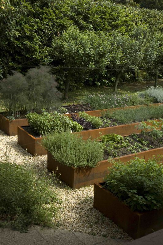 Optimal herb garden layout for a thriving culinary paradise