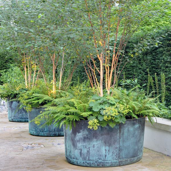 Planters for Stunningly Spacious Gardens